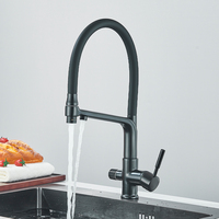 Black Filter Kitchen Faucets Dual Spout Kitchen Sink Water Tap Hot Cold Purification Water Crane for Kitchen