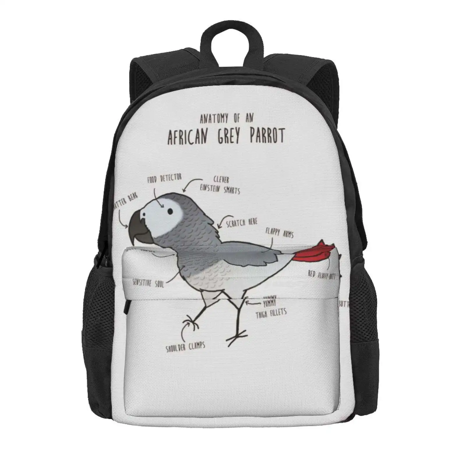 Anatomy Of An African Grey Parrot Hot Sale Schoolbag Backpack Fashion Bags African Grey Parrot African Gray Parrot Bird Pet