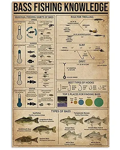 Affiche métallique de connaissances sur la pêche au bar, 8x12 pouces, en métal