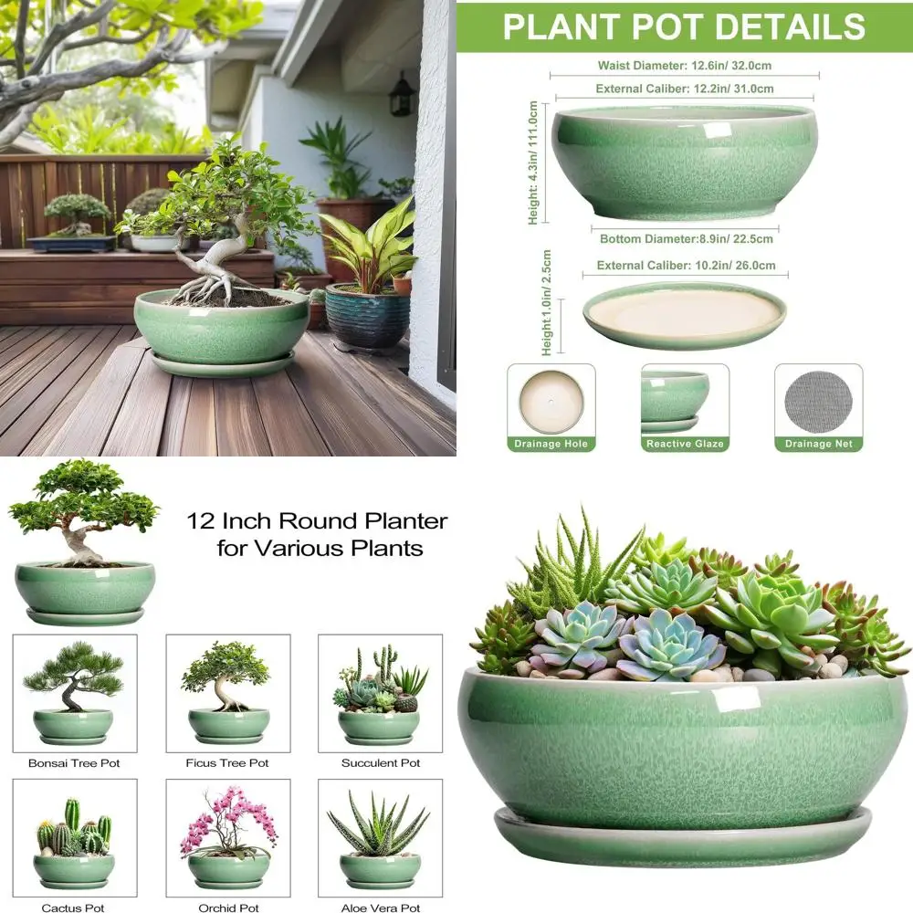 

12 Inch Ceramic Bonsai Pot with Drainage for Large Shallow Indoor/Outdoor Plants, Decorative Bowl Planter, Ideal for Gifts, Gree