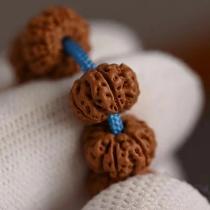 Traditional Chinese Lucky 108 Beads Small Rudraksha Mala Bracelet Tibetan Style Full Meat Bodhi Prayer Beads For Meditation Bles view 4