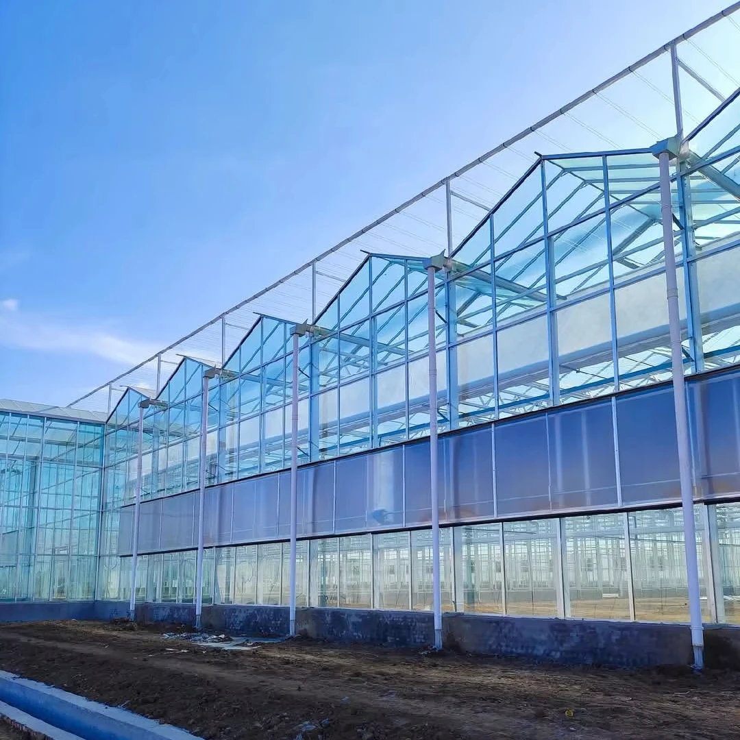 

Customized greenhousePremium Glass Greenhouse - Tempered Insulated Panels, Automated System Multi-Span Structure for Horticultur
