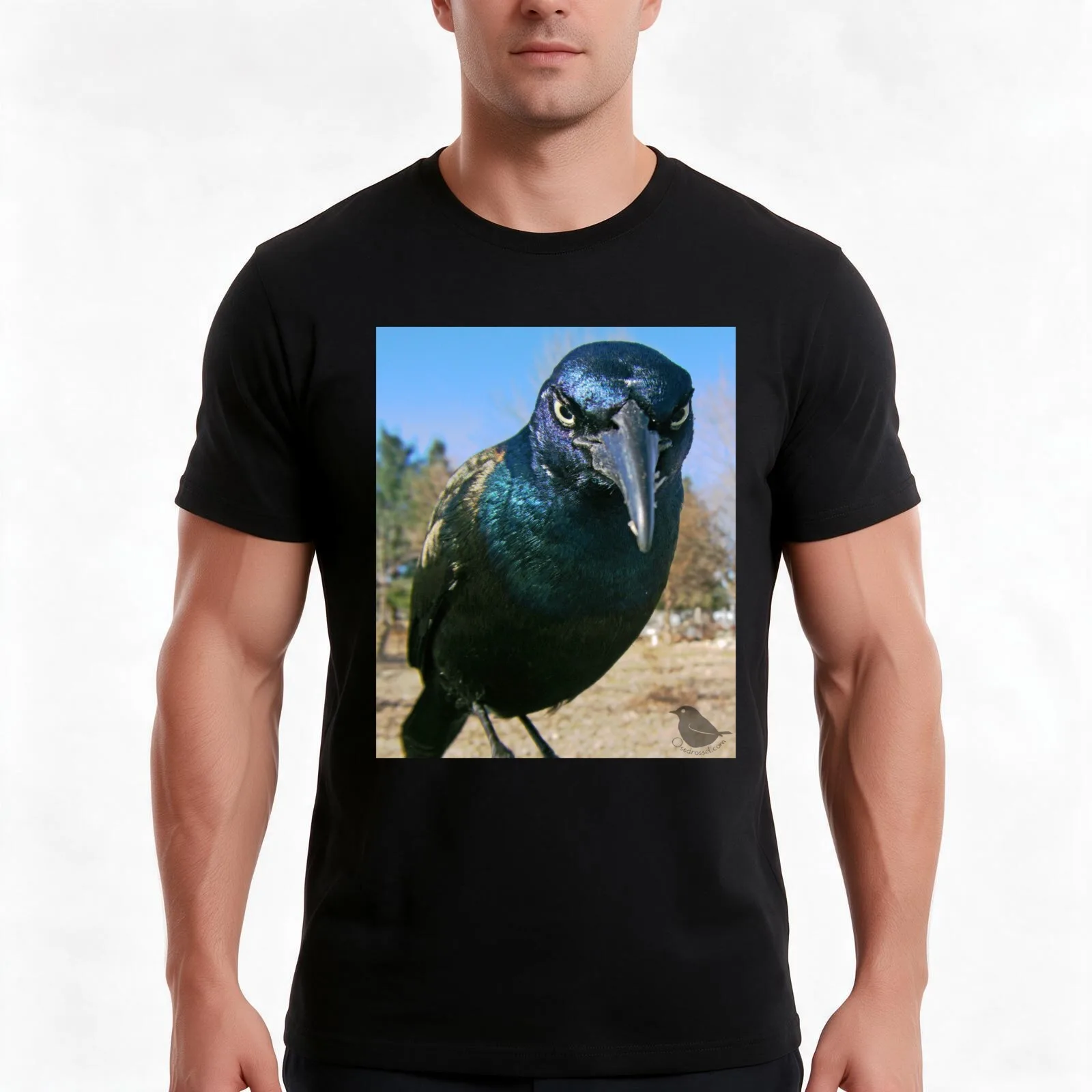 Count Grackula T-Shirt, Summer Casual Cotton Tee, Oversized Streetwear Tops, Vintage Graphic Print, Loose Fit Short Sleeve