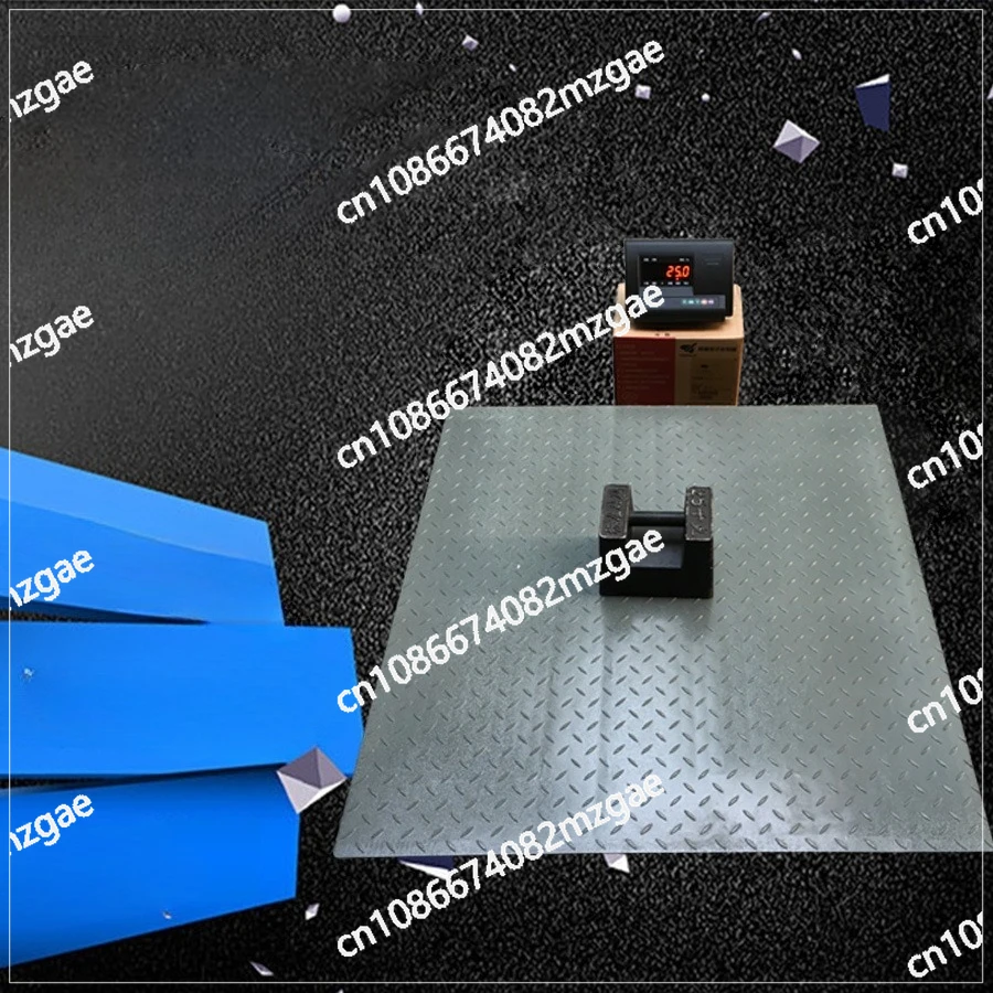 Floor & Pallet Scales for Warehouses Floor Scale with Ramp 3000kg 1000kg Stainless Steel Inox Platform Scale