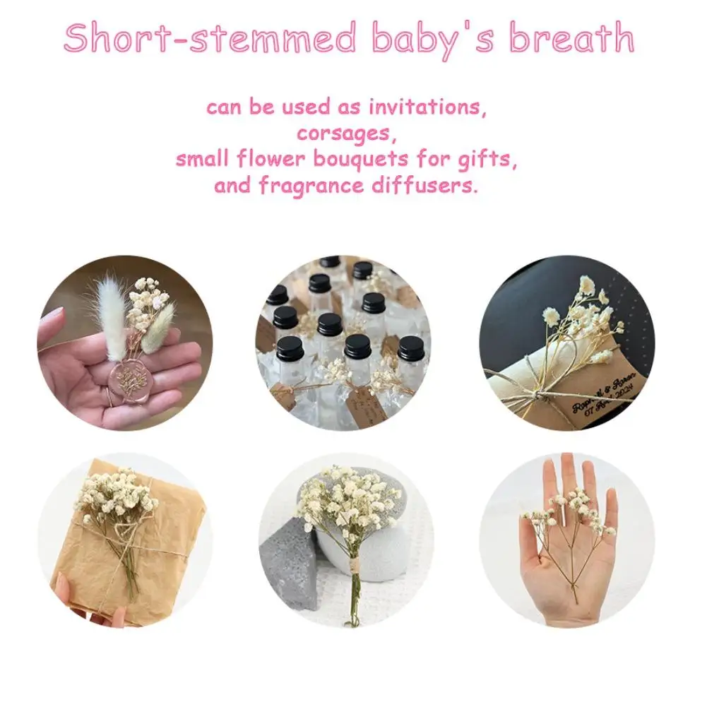 50개 미니 별빛 드라이 플라워 DIY 홈 웨딩 장식 선물 브레스 부케 안개꽃 레진 공예용