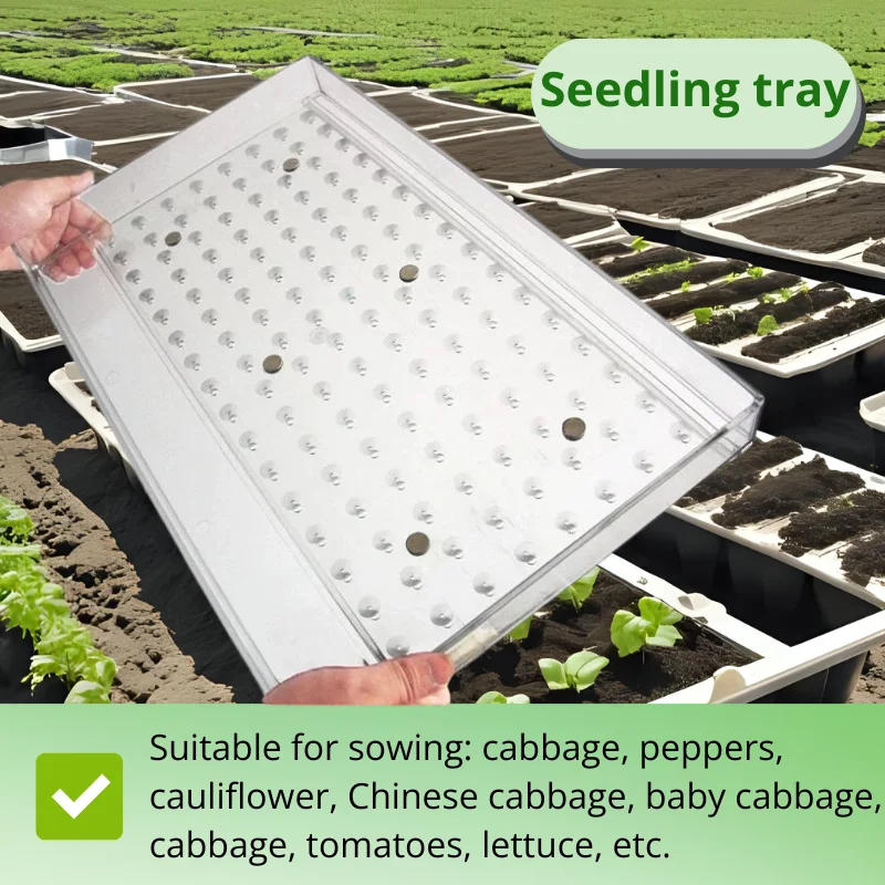 

Seed Tray Hand Seeder Durable Transparent Acrylic Seeder for Even Seed Distribution，For tomato seeds