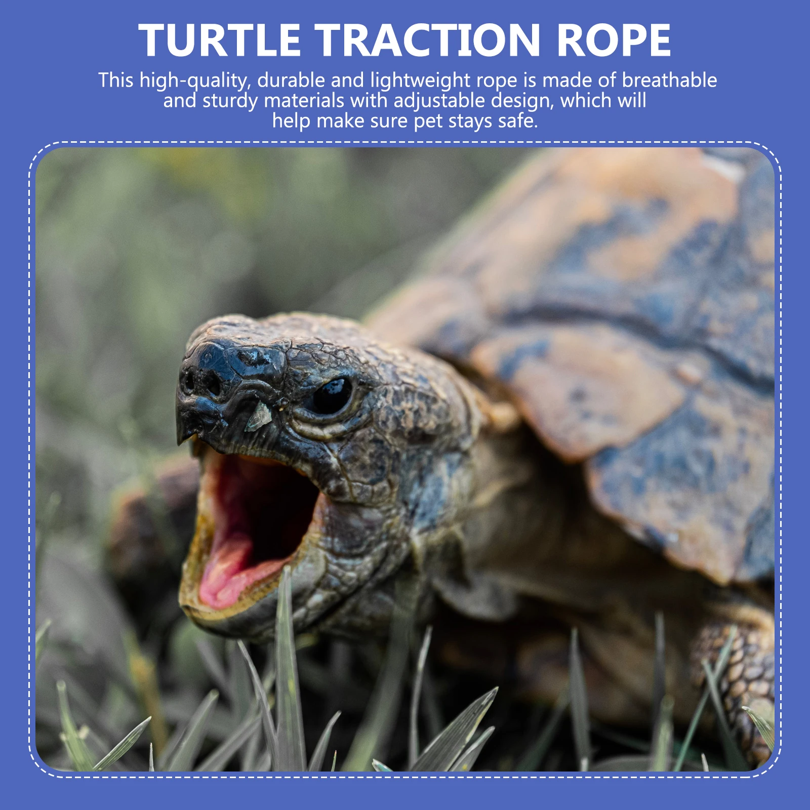 

Turtle Traction Vest Pet Tortoise Walking Leash Hauling Rope Tow Supplies Pulling