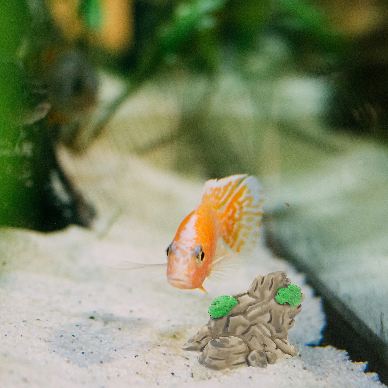 

12Pcs Miniature Mountain Resin Aquarium Fish Tank Decoration Decorative Landscaping Aquarium Ornaments Mini Resin Mountain