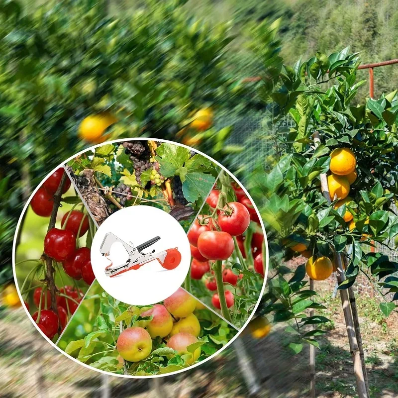 Plant Tying Machine Set for Grapes, Raspberries, Tomatoes and Vining Vegetables, Comes with 10 Rolls of Tape, 1 Box of Staple