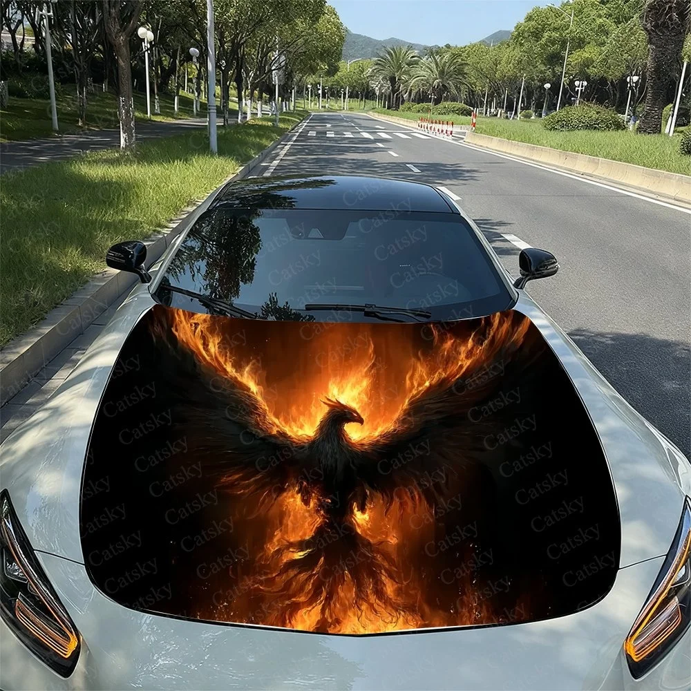 Vivid phoenix design on car hood, featuring fiery wings and intense flames. Perfect for enhancing vehicle aesthetics with a bold
