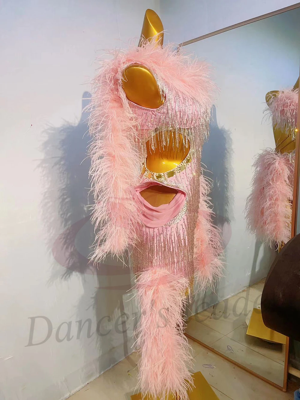 

Latin dance costume AB stone female adult children high-end customized plush fringe floral dress Cha Cha samba dress