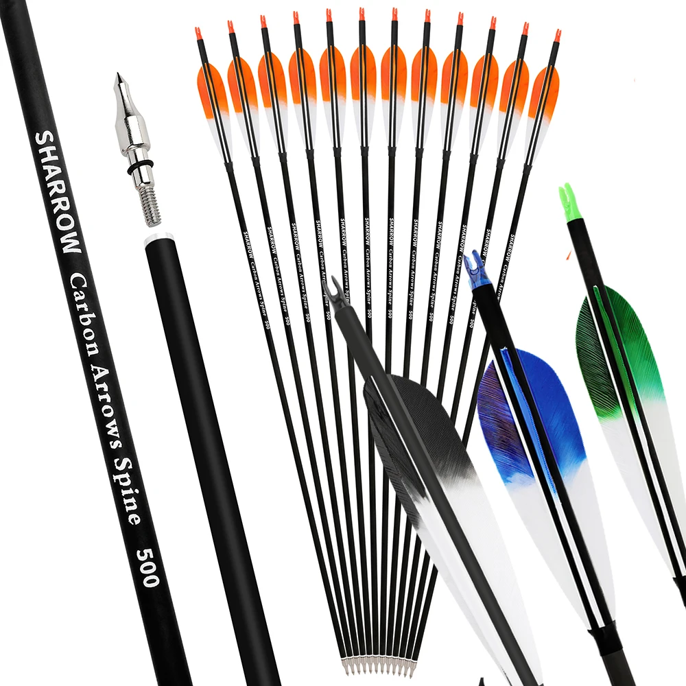 

6/12pcs Carbon Arrow Target Arrows Mixed Carbon Shaft Spine 500 Replaceable Arrowhead Turkey Feather Recurve Bow Shooting Arrow