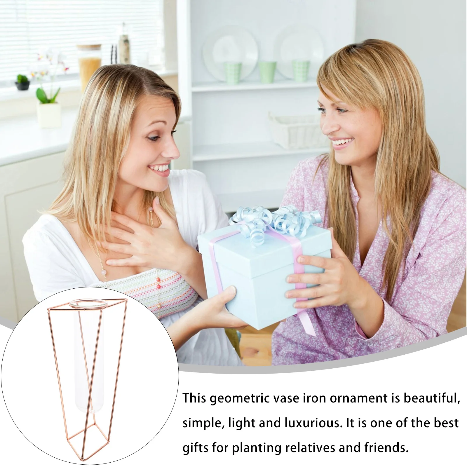 

1Pcs Iron Geometric Flower Vase Creative Plant Vase Home Decoration for Desks and Counters Home Decor Geometric Vased