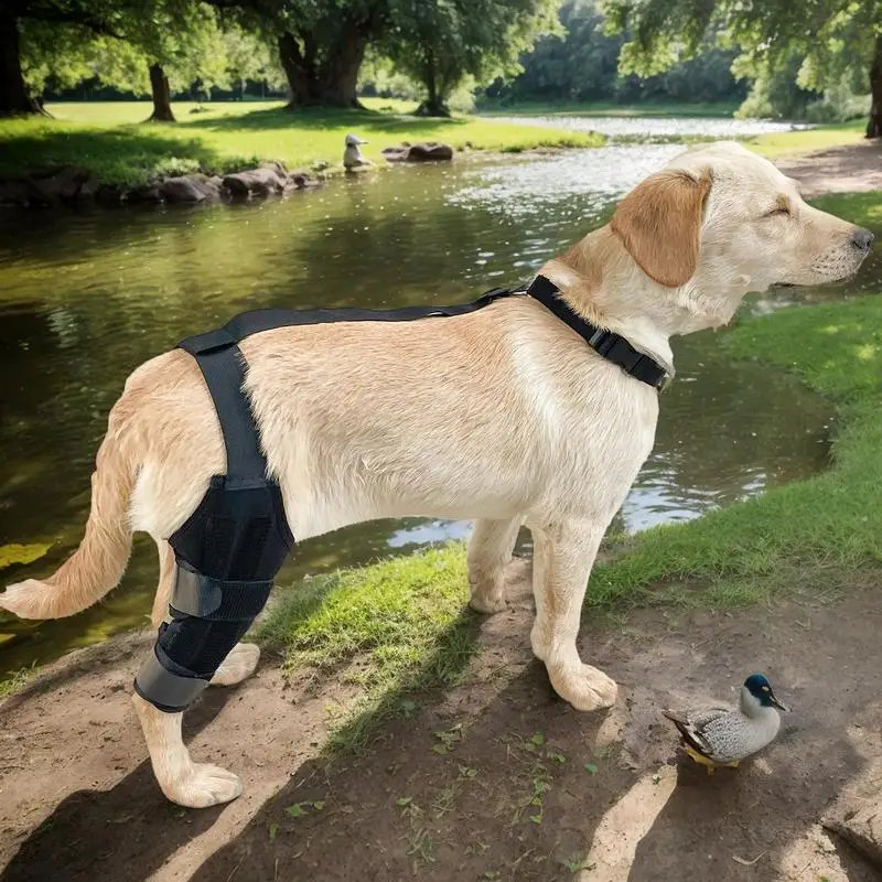 Dog Knee Brace Rear Leg Support Brace Non-Slip Pet Knee Sleeve With Adjustable Strap Soft Protector For Mobility Fixation