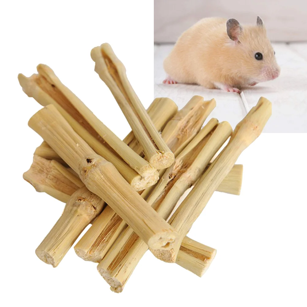 Bunny Treats Molar Rod Pet Snacks for Rabbit Small Wooden Hamster Chew Toys Travel