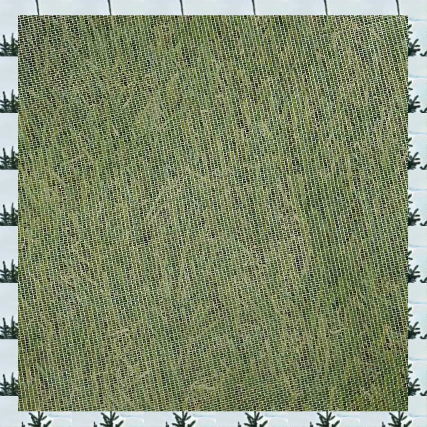 

ABLG 4X,10Mx2m Insect Bug Fly Fruit Cage Mesh Net Netting Vegetable Plant Protection
