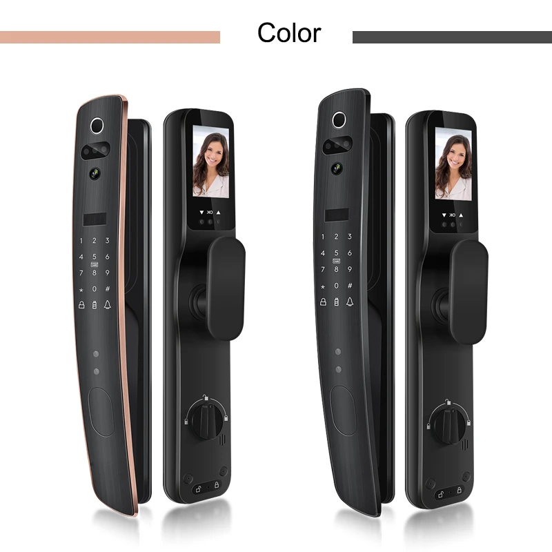 Door Entry Security Wifi Fingerprint RFID Card Face Recognition Magnetic Door Access Control