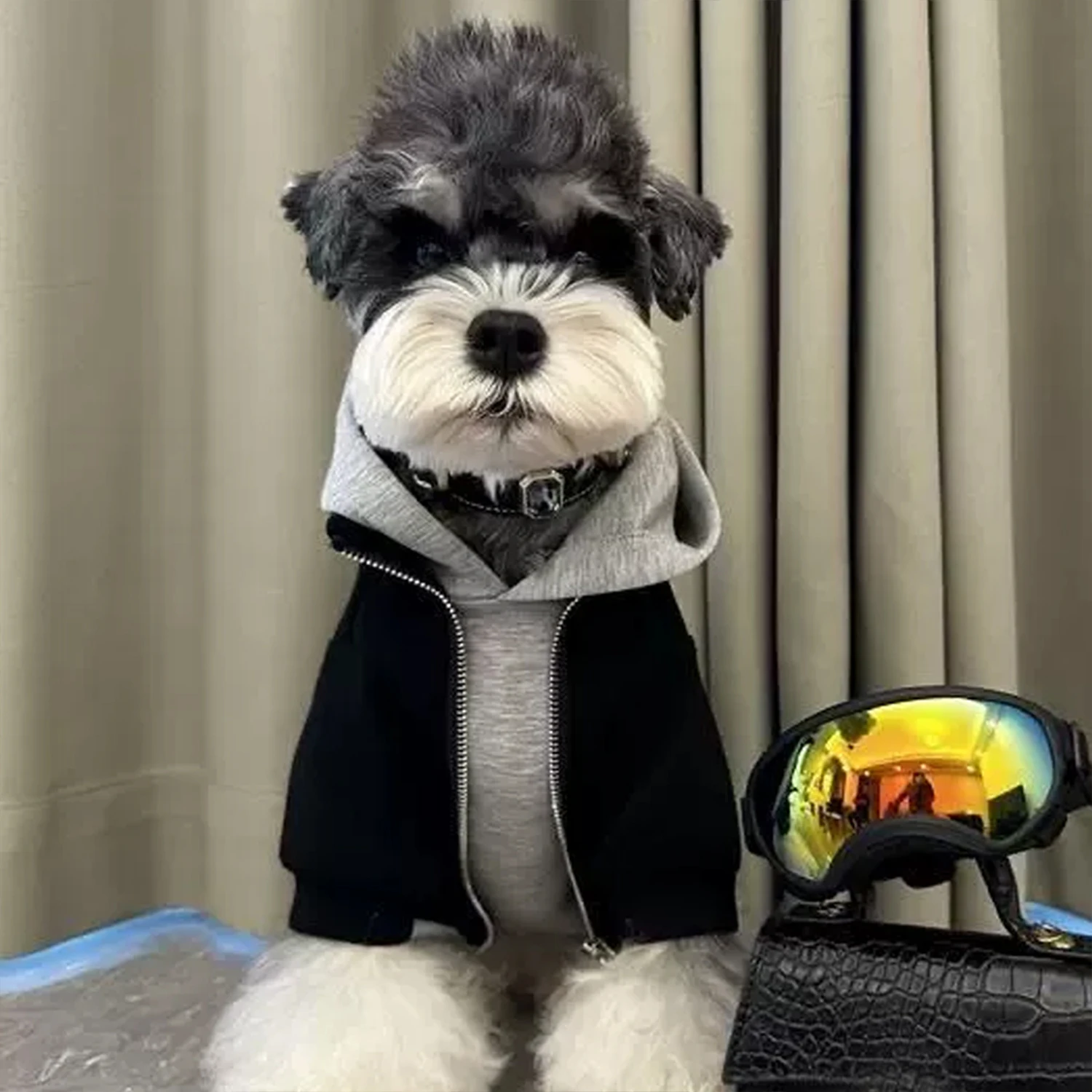 Dog Clothes Sweatshirt Two-piece Hooded Design Autumn Winter Warm Schnauzer Bichon Frise Poodle Shiba Inu West Highland Terrier