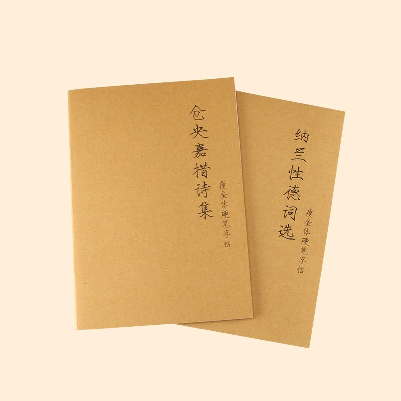 Chinese Hard Pen Copybook Calligraphy Copybook Song Huizong Shoujinti Calligraphy Art Copybook Student Calligraphy Practice Book