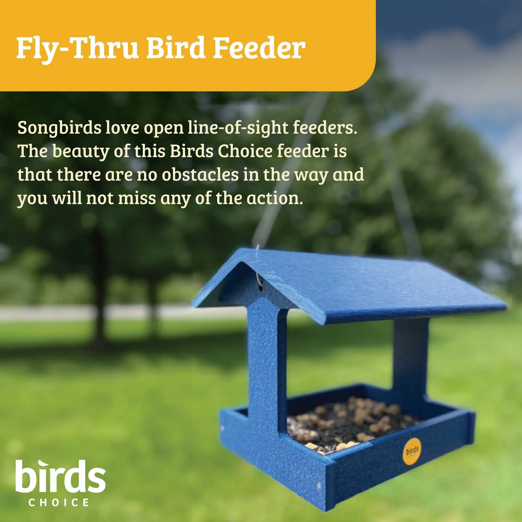 

Recycled Plastic Fly-Thru Platform Feeder for Variety of Birds, Blue