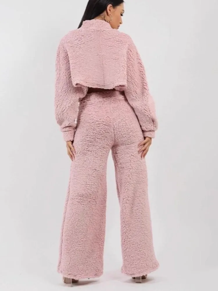 

Женская модная повседневная плюшевая домашняя одежда, свободный костюм с длинными рукавами, новый осенне-зимний праздничный костюм для вечеринок, однотонная женская одежда из двух предметов