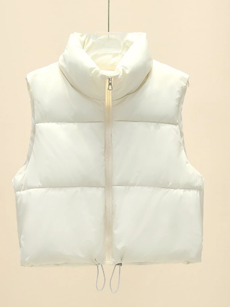 سترات غير رسمية بياقة واقفة بلون واحد معطف سترة نسائي شتوي بسحاب معطف سميك مقاوم للرياح ملابس علوية باردة ملابس قطنية قصيرة #2