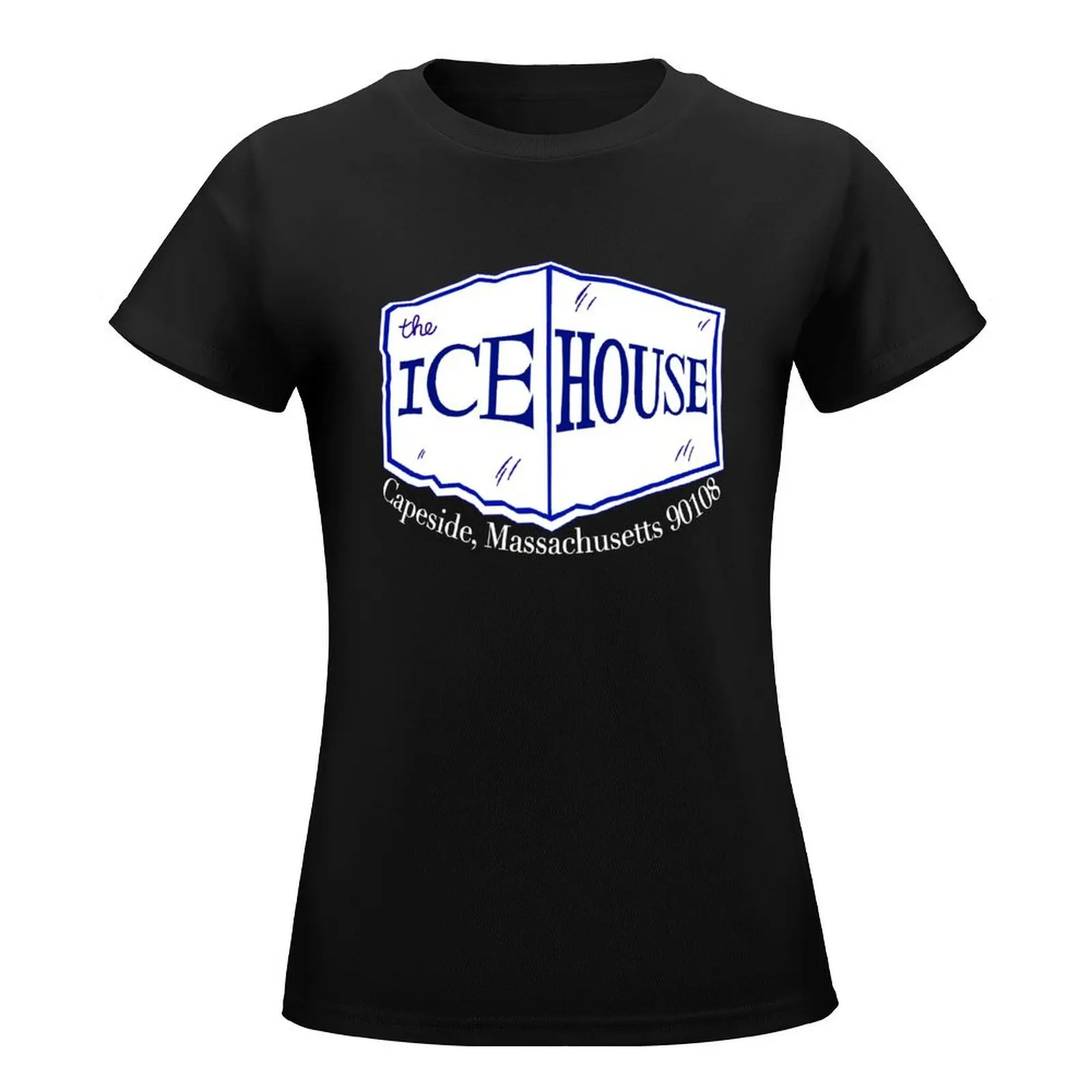 The Icehouse (Inverted) - Dawson's Creek T-Shirt vintage clothes Blouse hippie clothes Aesthetic clothing Women's tops