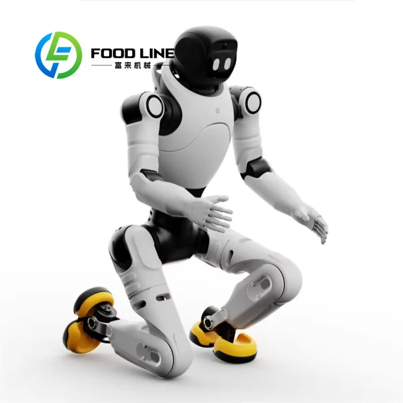 Airport Humanoid Robot Guides Passengers To Check-In Counters, Rest Areas And Answers Various Flight Schedule Consultation