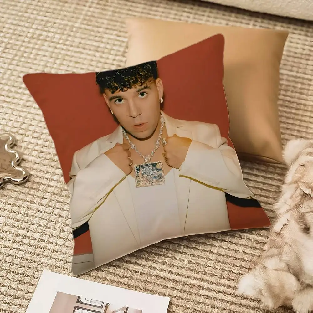 غطاء وسادة مغني الراب Q-Quevedo غطاء وسادة مضاد للغبار وسحاب غير مرئي أريكة حريرية من القطيفة