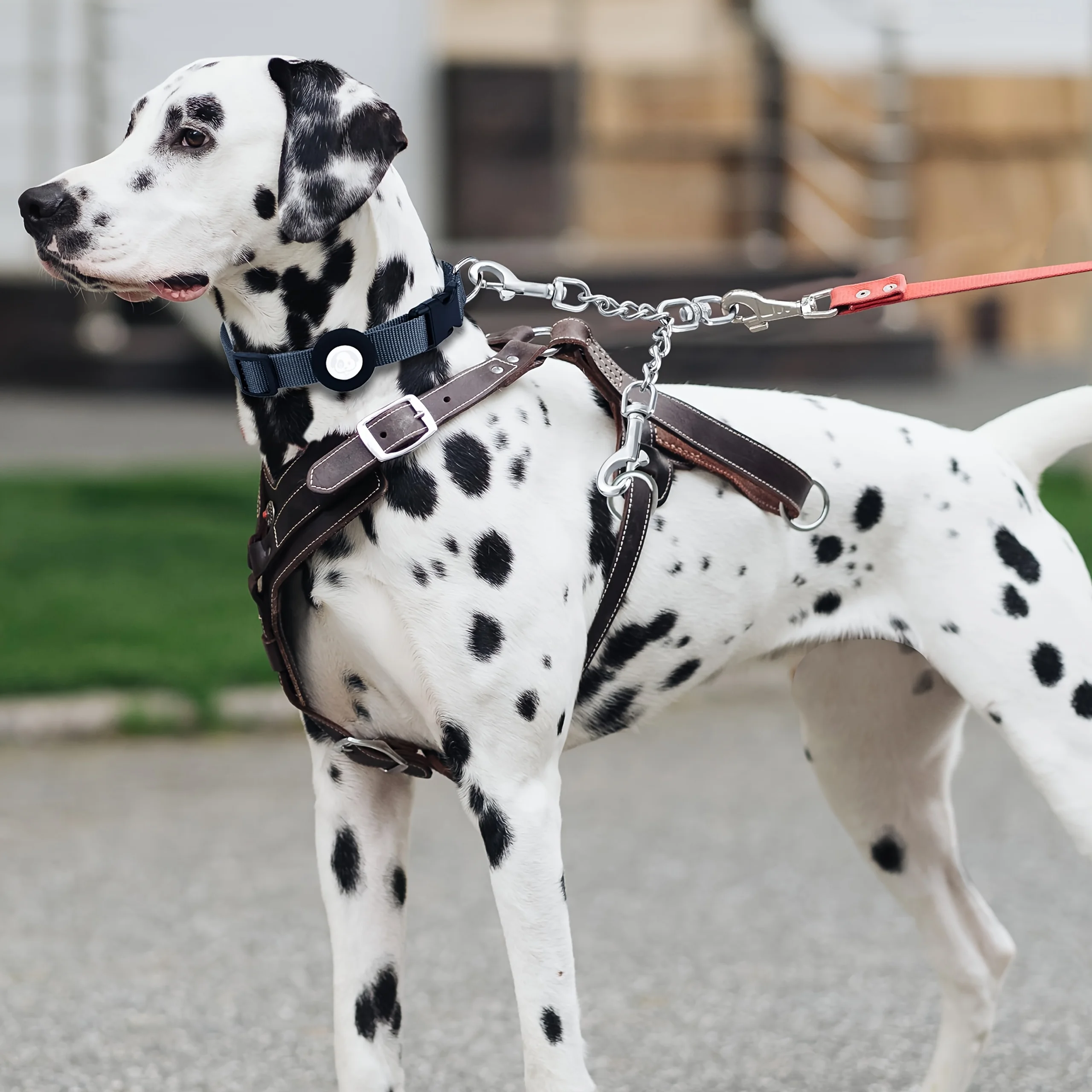 1pc Collar Safety Clip, Dog Safety Clip with Double Buckle Leash Back-Up Clip, Suitable for Collar and No-Pull Harness Connector