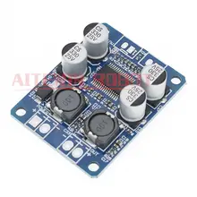 TPA3118 60W Mono Amp Board #4