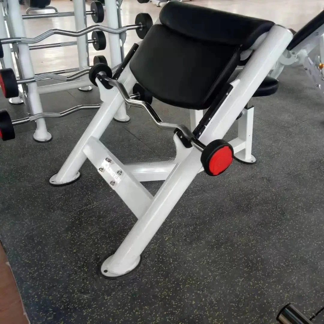 High Quality Commercial Use Preacher Curl Gym Fitness Equipment Factory Sales Foldable Metal Bench with Custom Logo Hot Sale