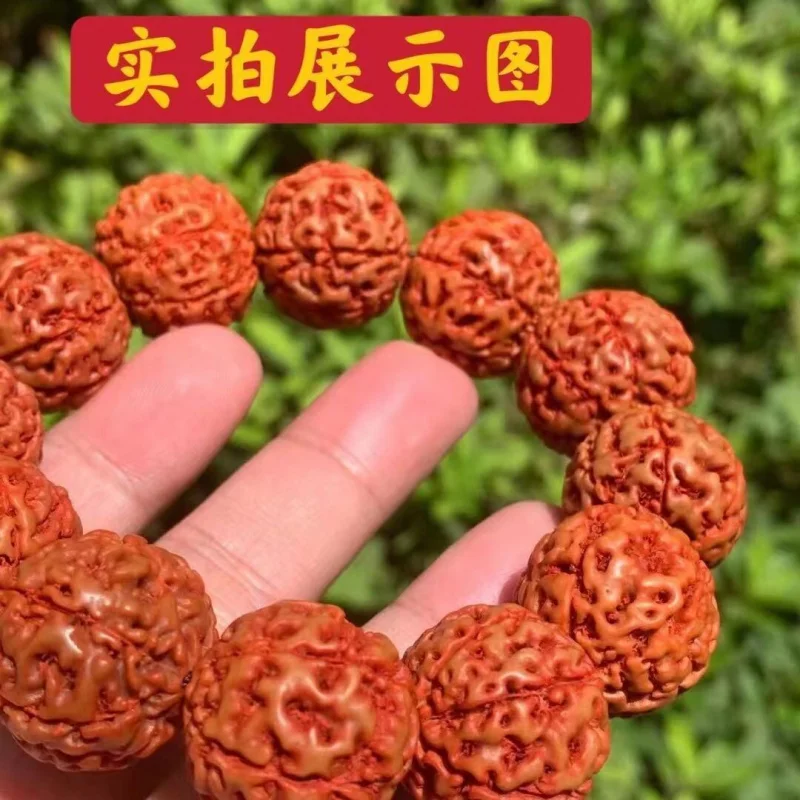 

Authentic Jingang Men and Women Bodhi Seed Buddha Beads Bracelet Collectables-Autograph Rosary 6789