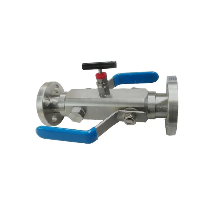 

Double Flange Manifold Instrument Needle Valve