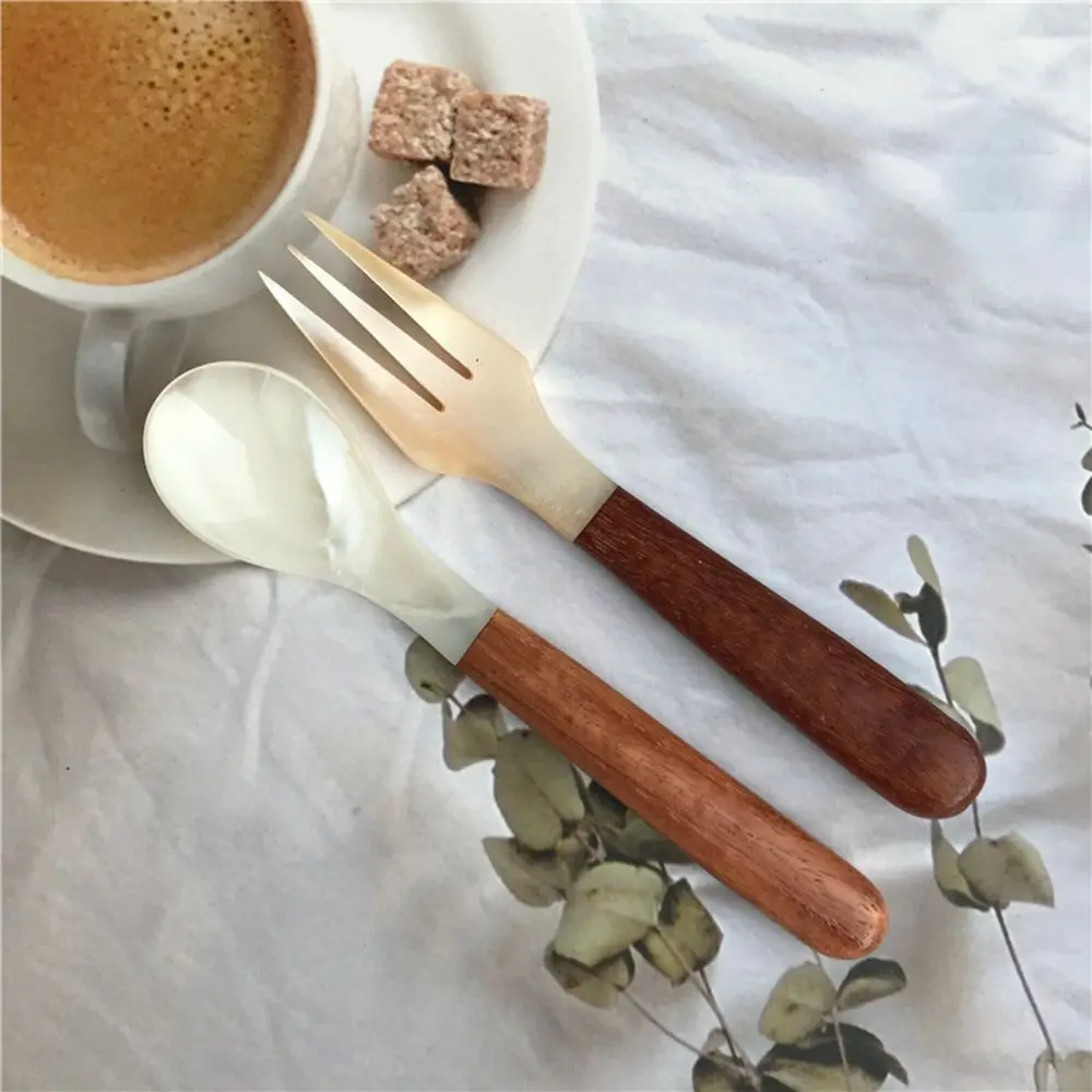 Seasoning Creative Conch Caviar Natural Tableware Shell Spoon Teaspoon Fork Ice Cream Dessert Spoon