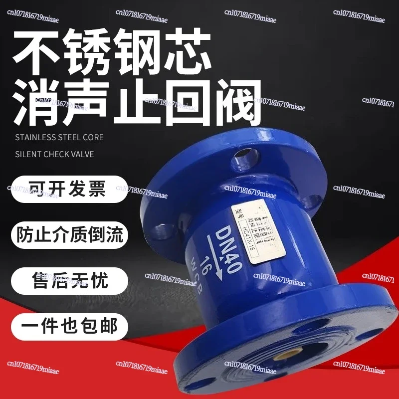 Stainless Steel Core Muffler Check Valve Vertical Horizontal Check Valve Water Pump Fire Protection