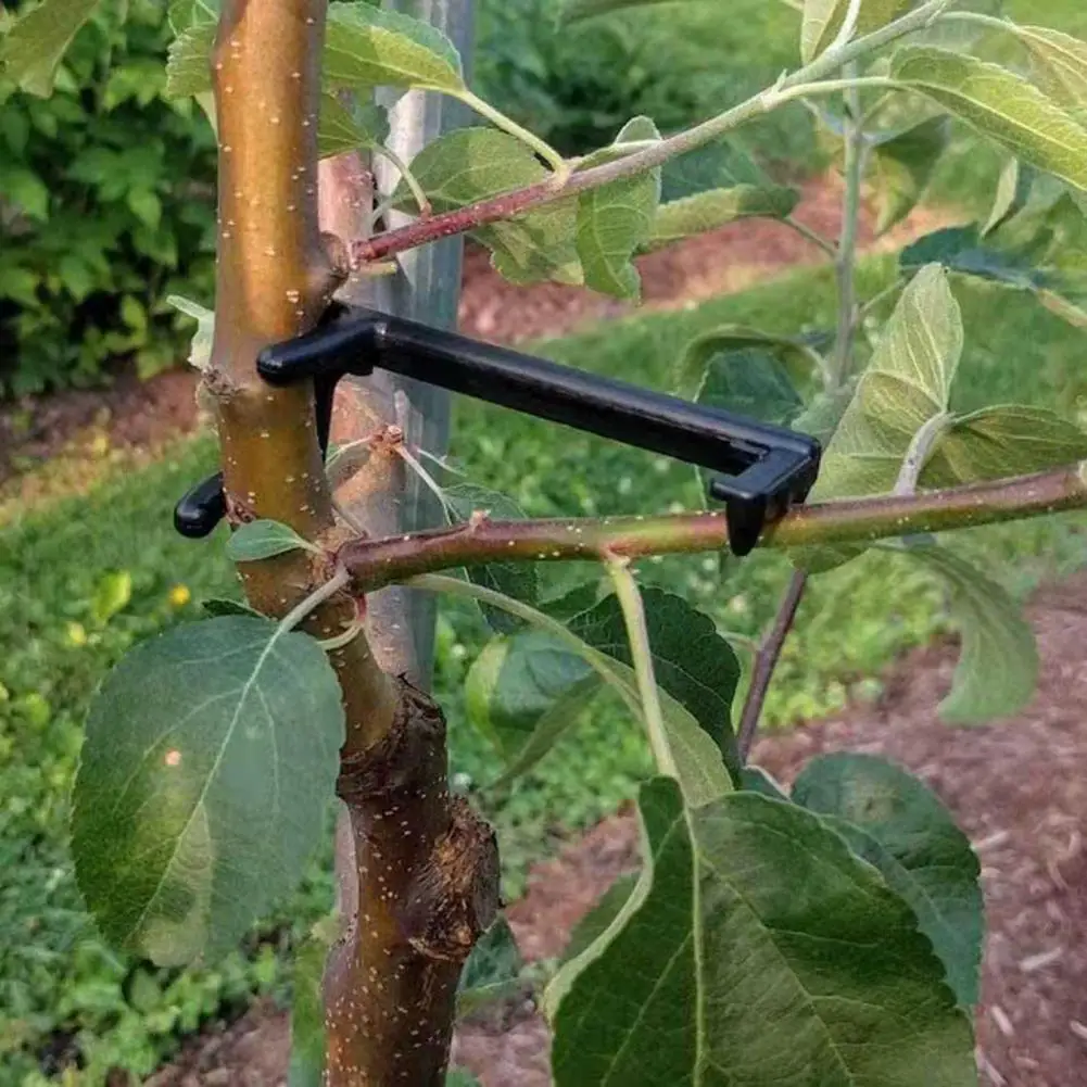10Pcs Branch Holder Adjustable Height Pressure Resistant Weight Capacity Anti-sagging Fruit Tree Branch Spreader Courtyard Tool