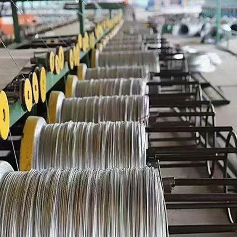 5m Vinyl Coated Wire Rope Stainless Steel Clothesline Lifting Lock Aluminum Sleeve Traction Safety Rope Guardrail Protection
