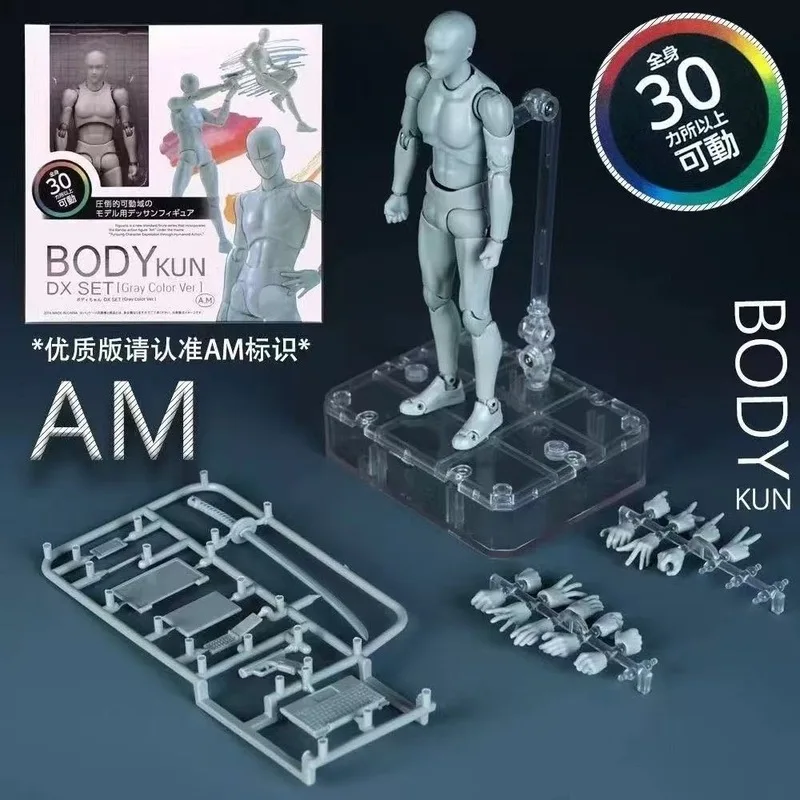 2D Anime Periphery SHF Male Female Body Model Painting Sketch Art Drawing Movable Action Figure Boxed Collectible Toy Ornament - view 2