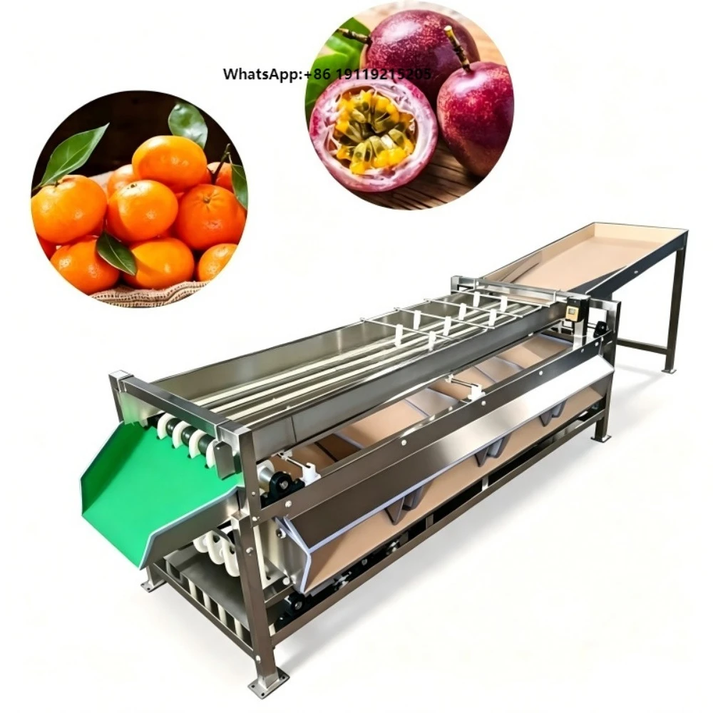 304 Stainless Steel Fruit Sorter Multifunctional Vegetable Sorting Machine Large Capacity Tomato Potato Cherry Size Sorter