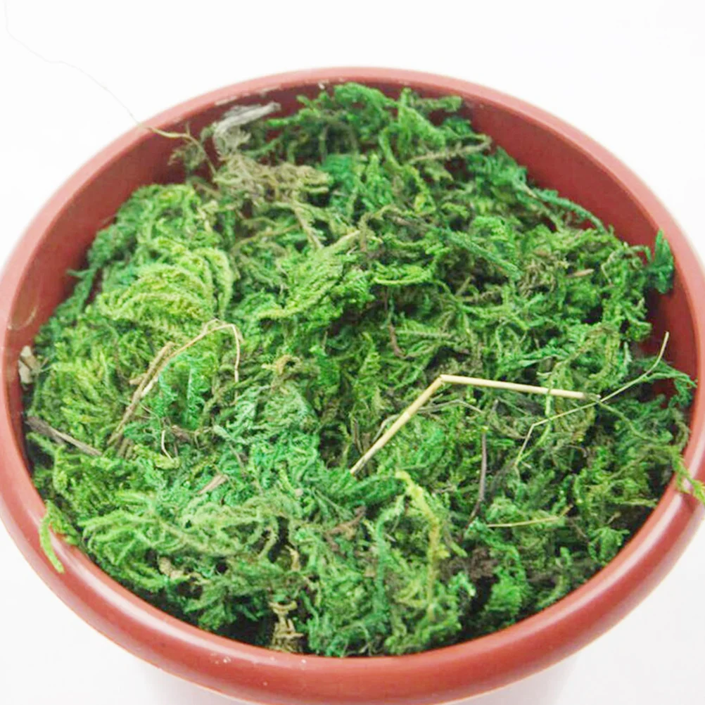 

Artificial Moss Simulated Green Plant Durable Lifelike Decoration for Miniature Ornament Garden Patio Balcony Office