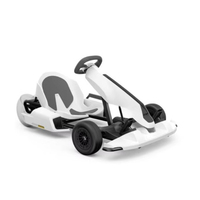 Mini Xiaomi White Pro Racing Game 2400w Go Kart Off-Road Electric Vehicle Adult Go Kart