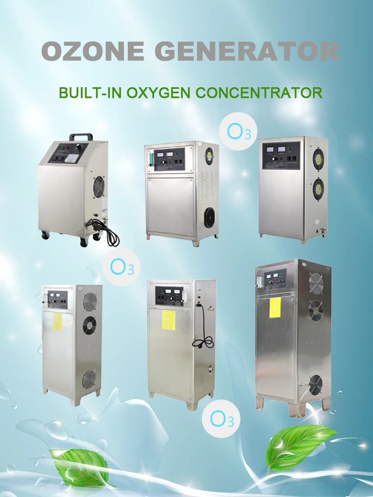 10G/H High Quality Portable Customizable Ozone Generator for Drinking Water customized