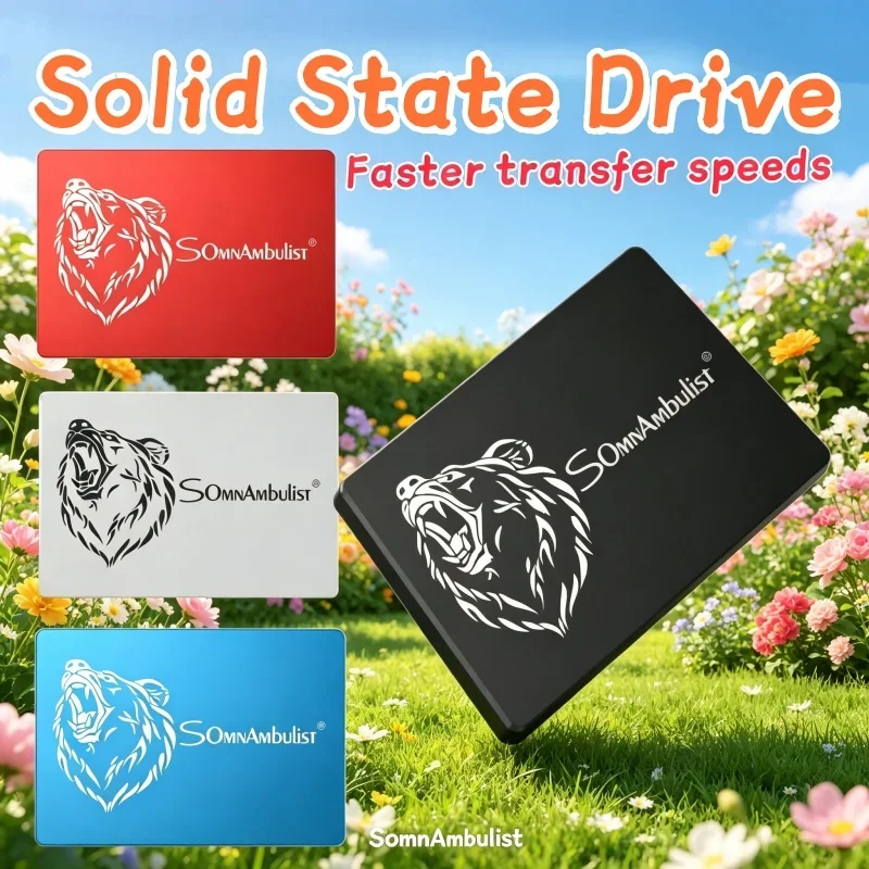 

SomnAmbulist 1TB 2TB SSD 120GB 240GB 480GB 960GB Vigorous Sata3 Solid State Drive 2.5 128GB 256GB 512GB SSD for PC Laptop