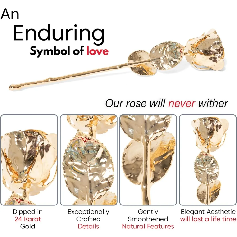 وردة أصلية طويلة محفوظة من الذهب عيار 24 قيراط مغموسة، زهرة طبيعية مسقطة كهدية أبدية للزوجة أو الأم أو S #3