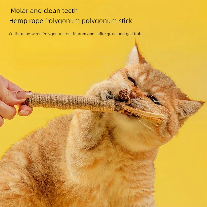 5PCS Pet Interactive Chew Sticks Cat Teeth Molar Cleaning Toy Polygonum Wood Gall Nut Raffia Silvervine Stick Hemp Rope Supplies