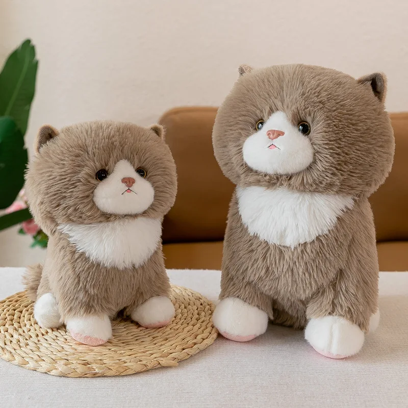 

Kitten Doll Plump Face Kawaii Cat Plush Toy Fluffy Cuddly Cartoon Ragdoll Cats Stuffed Animal Sleeping Pillow Plushie Kids Gift