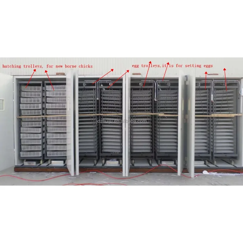 Fully Automatic 50000 Chicken Egg Incubator Automatic Egg Turning