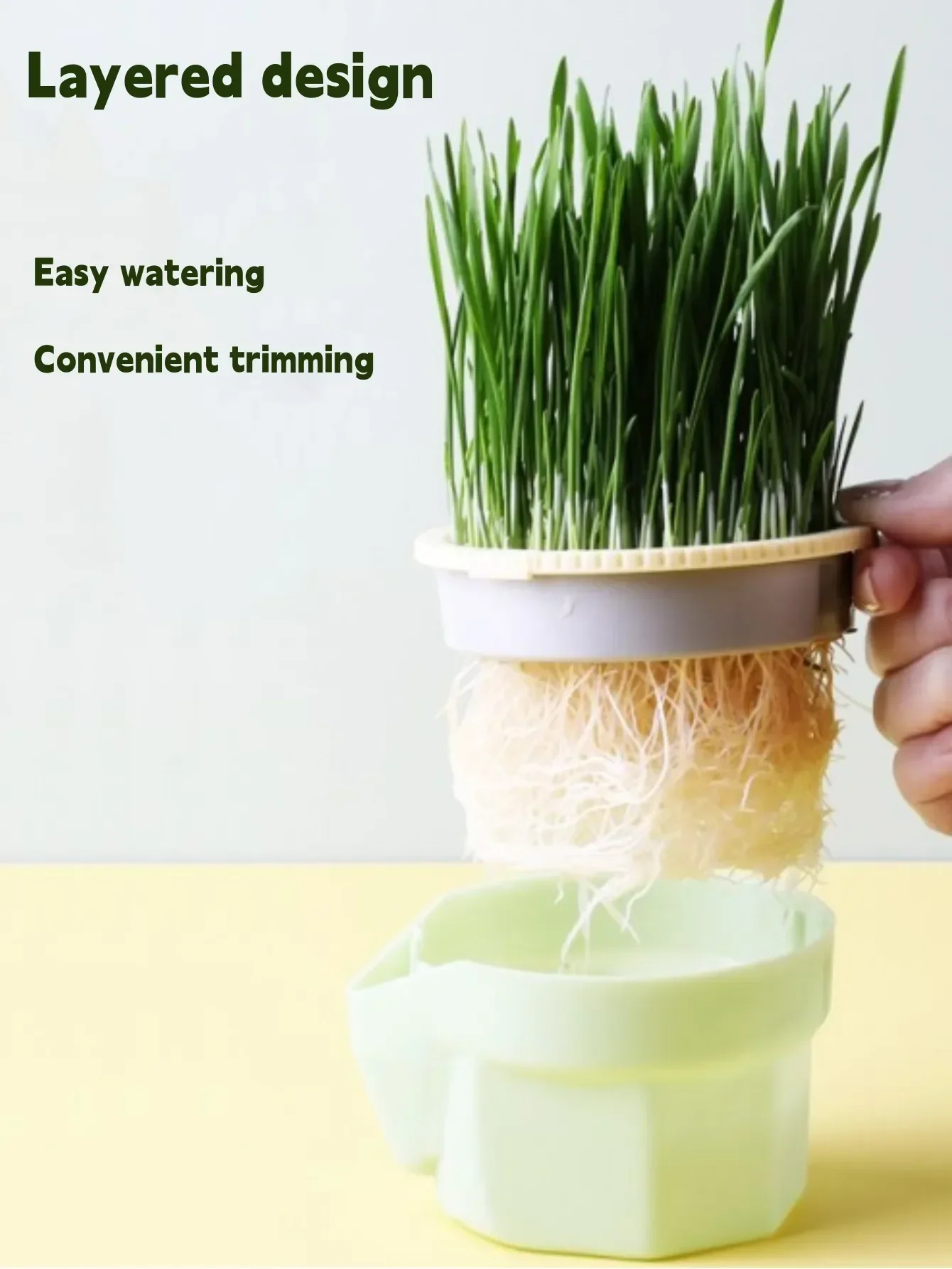 Cat Snack Cat Mint Planting Hydroponic Box Cat Grass Pot Color Contrast Hydroponic Cat Grass Box Cat Grass Planting Bowl Cat Toy