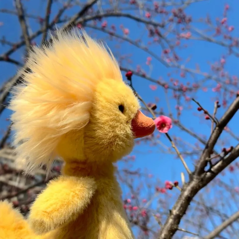 25cm Deep-Fried Duck Plush Toy Ugly And Cute Cartoon Stuffed Animal Pillow Doll for Room Decor And Children's Birthday Gift